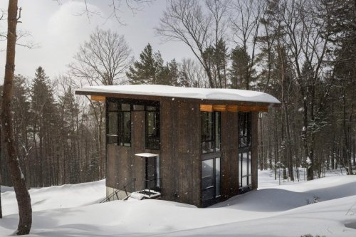 This cozy winter cabin in Vermont was built to help you connect with your family and nature!