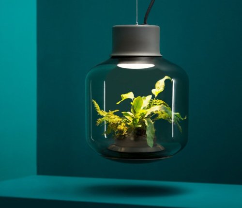 10 Indoor gardening gadgets and accessories for your home
