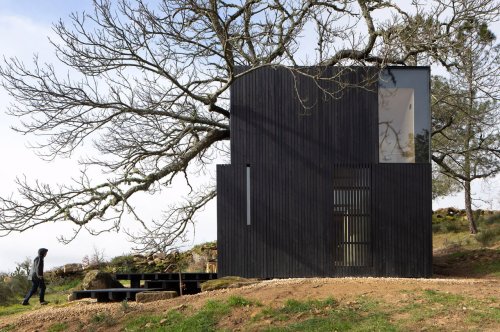This minimal wooden home was designed to focus on a majestic chestnut tree