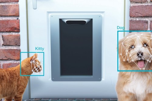 This ‘Ring Doorbell for Pets’ uses facial recognition to let your pets enter/exit your home!