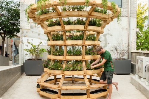 Live green, eat green with this DIY modular garden that ‘expands’ with you!