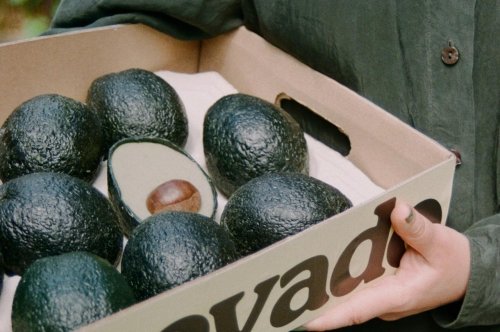 ecovado-is-a-more-environmentally-friendly-alternative-to-avocado