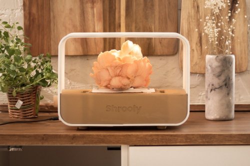 This wonder box lets you easily grow nature’s miracle food right inside your home