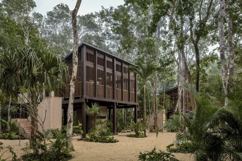 This Mexican Hotel Is A Family Of Treehouses Designed To Improve Its Guests’ Mental Heath