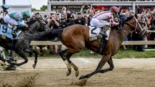 Watch: Journalism wins Preakness Stakes with incredible finish