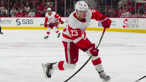 red wings cups