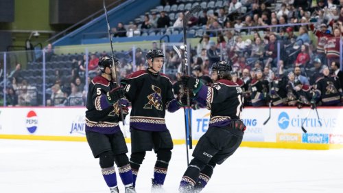 Utah Mammoth’s 2024-25 Report Cards: Artem Duda