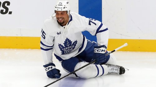 Maple Leafs call up Ryan Reaves from AHL’s Toronto Marlies