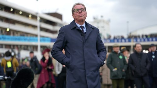 Harry Redknapp prefers £1m Tottenham signing over £47m star