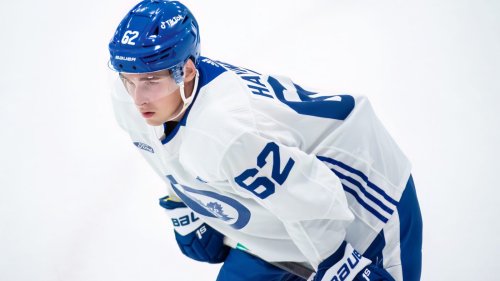Scouting Report: What you need to know about new Leafs signing Luke Haymes