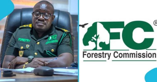 Forest Commission boss appeals to government to consider militarising the commission’s rapid team