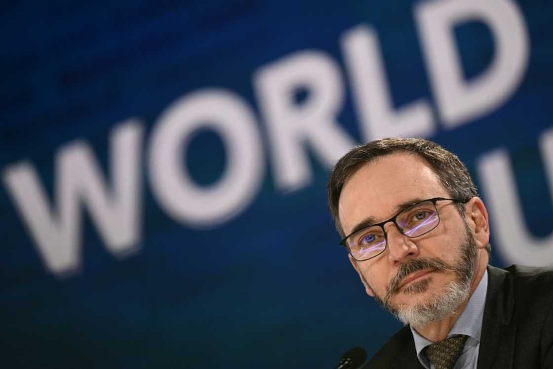 IMF slashes global growth outlook on impact of US tariffs