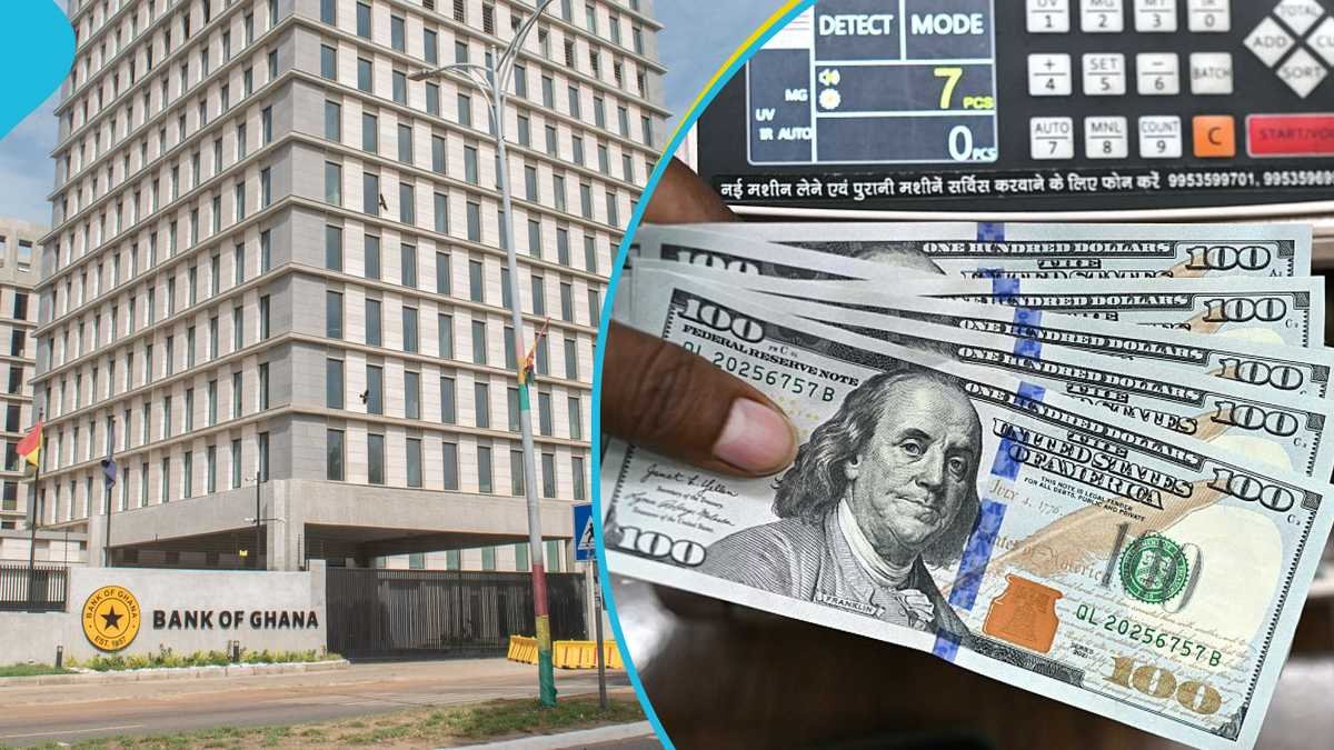 Cedi strength: Bank of Ghana pumped $10 billion into forex market to aid local currency