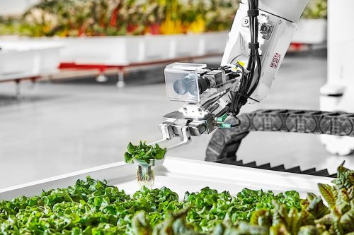 The future of indoor agriculture is vertical farms run by robots