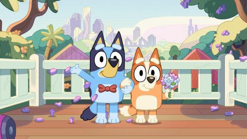 'Bluey' to return for series two on CBeebies