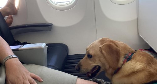 Virgin Australia passenger fumes over ‘most disgusting’ sight on flight