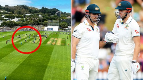 Cricket world blown away by strange sight during Australia and New Zealand first Test