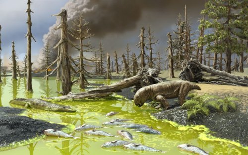 'Toxic soup' algae warned of ancient extinction event – and it’s happening again now
