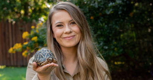 Bindi Irwin wows fans with dramatic hair transformation: ‘Suits you’