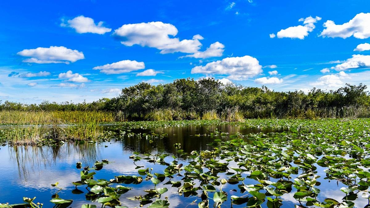 Unlocking the Everglades: your guide to the park's multiple entrances