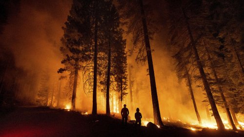 West Coast facing uptick in wildfires thanks to climate change, experts say