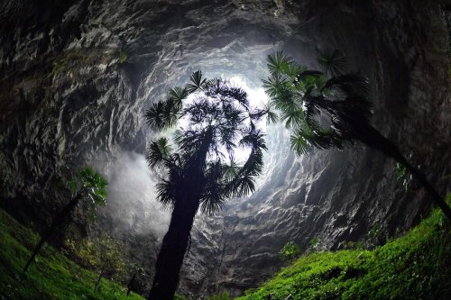 Southern China sinkhole discovered, home to towering ancient trees
