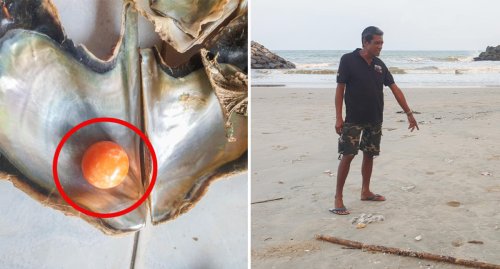 Struggling fisherman's unbelievable find in ordinary shell