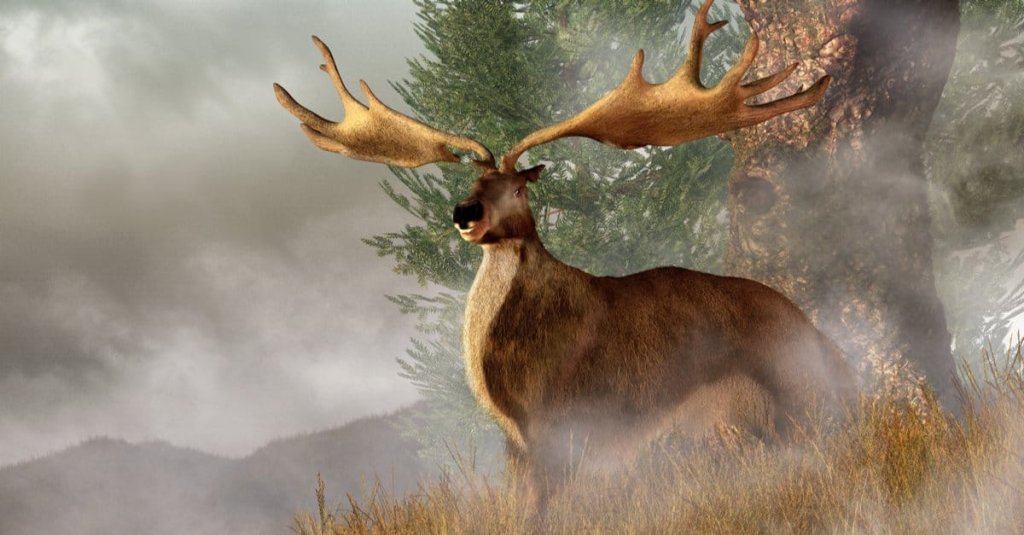 Megafauna - cover