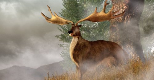 10,000-Year-Old Elk Hauled Out of Northern Irish Lake