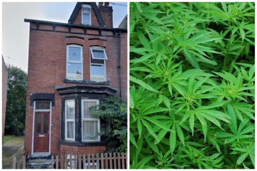 Message 'needs to get through' to immigrants who come to UK illegally after Leeds drugs raid
