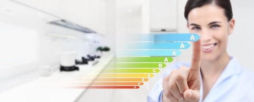 Going Green - How energy efficient is your appliance? Advice on choosing