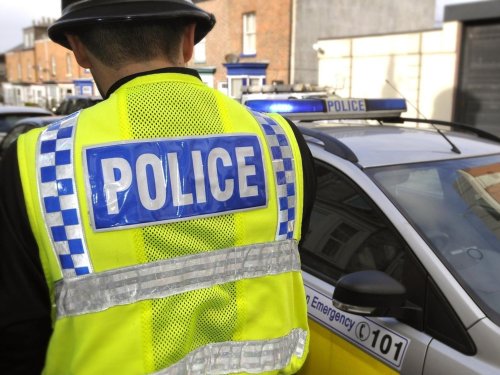 Two females kicked and killed hedgehog after shouting "kick it, drop it" in West Yorkshire