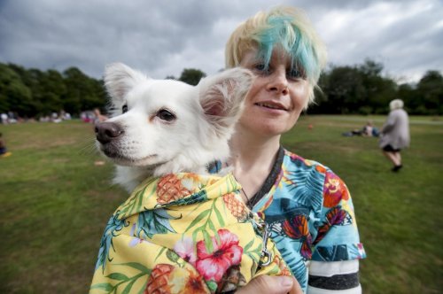 ‘Cancel the show!’: Unity Day dog show cancelled after public outcry over heatwave