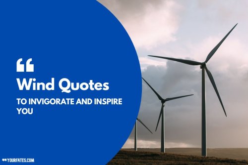 72 Wind Quotes To Invigorate and Inspire You