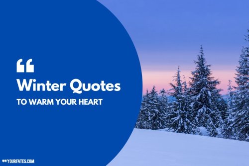 70 Winter Quotes To Warm Your Heart