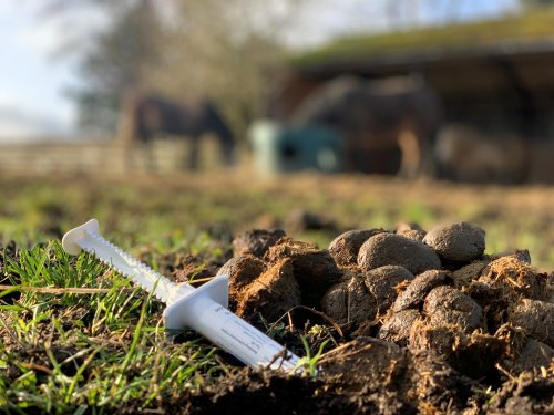How targeted worming can protect your horse and the environment