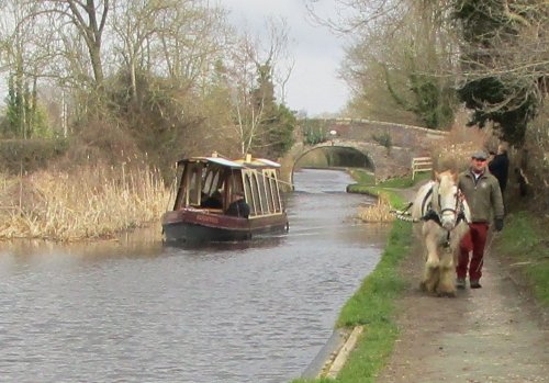 Could you assist horse-drawn boat trips? Appeal for equestrian support
