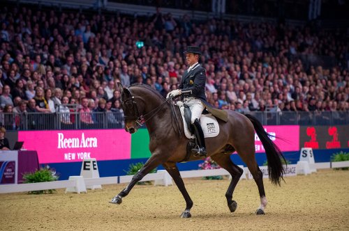 How To Watch The London International Horse Show | Flipboard