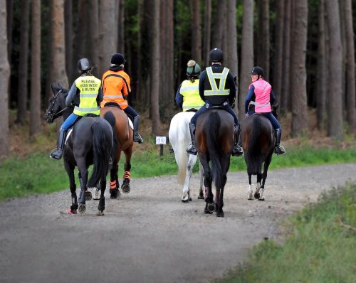 how-to-keep-your-horse-safe-and-sound-while-hacking-on-hard-ground