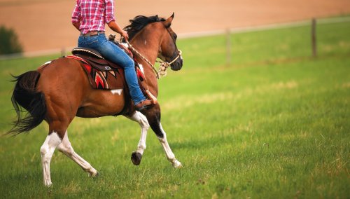 Western horse riding: the art of thinking less and feeling more