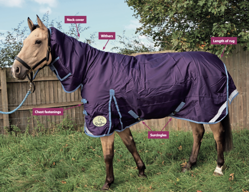 How to fit a rug: Keep your horse comfortable whatever the weather