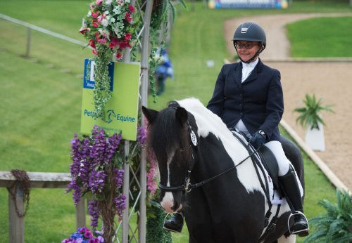 Earn top marks in your novice test with training tips from List 1 judge Harry Payne *video*