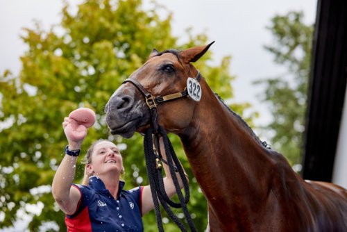 ‘Behind every happy horse is a happy groom’: Championships recognise essential team members