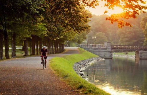 Cycle the City: Stockholm Bike Rentals - Your Living City
