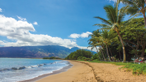Hawaii Tourism Authority Suggests These Options Due To Lack Of Rental Cars