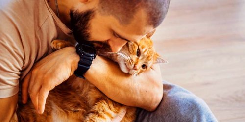 How A Cat Revealed The Kind Of Man My Husband Really Was