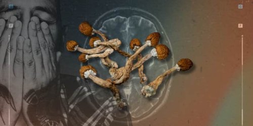 My Husband Microdoses Magic Mushrooms Because Doctors Have No Answers For His Health Problems