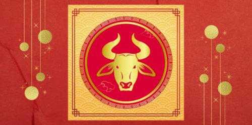 Year Of The Ox Chinese Zodiac Personality Traits Years And