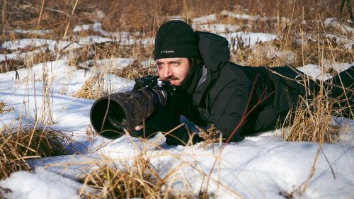 Sony a1 Review for Bird Photography: My Hands-on Experience With Alpha 1