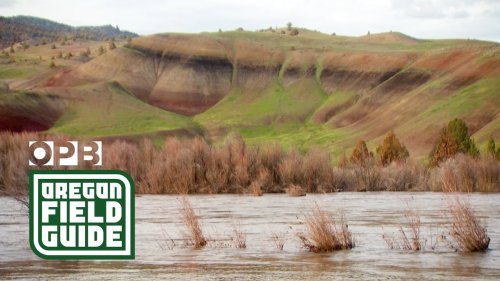 Oregon's Painted Hills | Oregon Public Broadcasting